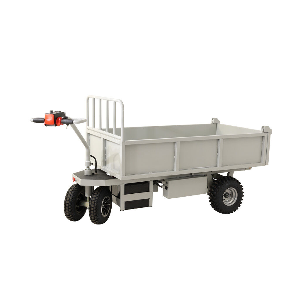 Powered Dump Truck Trolley