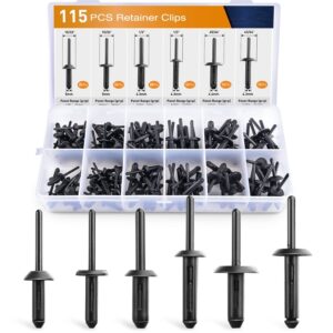 115 Pcs Automotive Nylon Universal Pop Rivet Assortment - 6 Most Popular