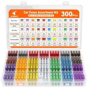 300Pcs Car Fuse Assortment Kit, 160 Mini Blade Fuses Automotive + 90 Standard