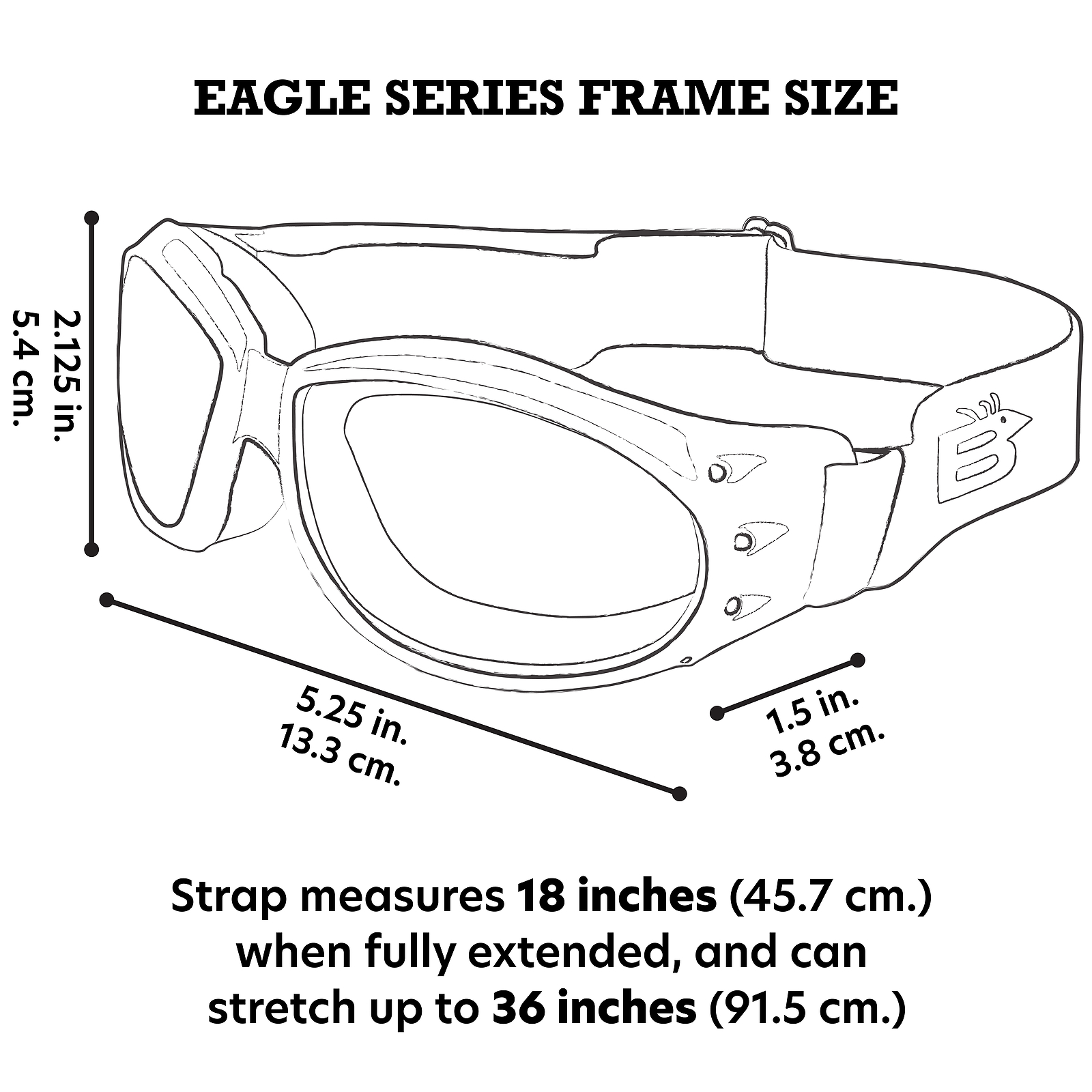 Birdz Eagle Padded Motorcycle Airsoft Goggles Anti-Fog SUPER DARK LENS - Image 5