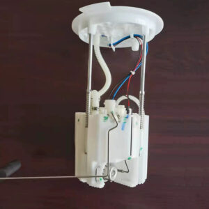 Automotive Fuel Pump Assembly 1123101AGW02A for GWM