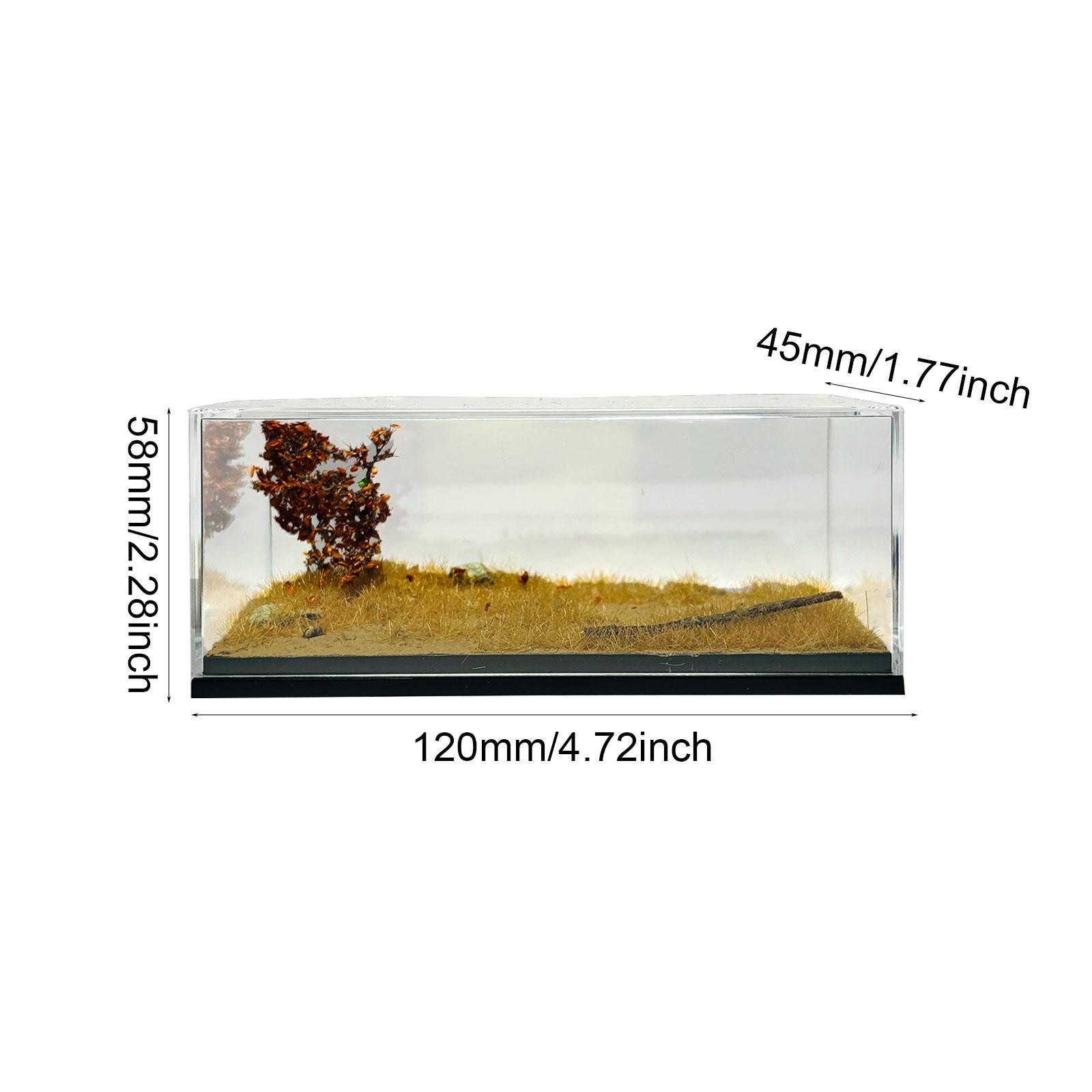 Model Car Display Case 1:64 Organizer Miniature Scenery Ornament Display Box - Image 2
