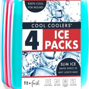 Bolsas de hielo delgadas - Paquete de 4 reutilizables de congelación rápida para loncheras y refrigeradores, azul-