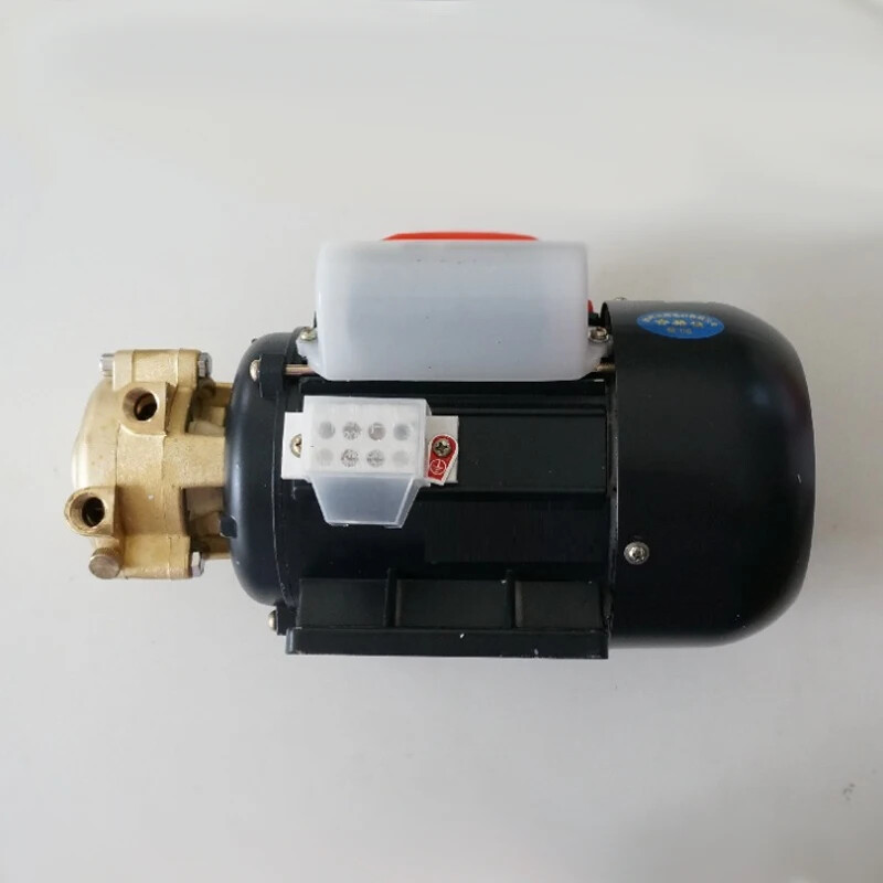 Bomba Vórtice Multietapa 220V 550W Caldera Generador Bomba de Agua 1/4WD-0.55- - Image 4