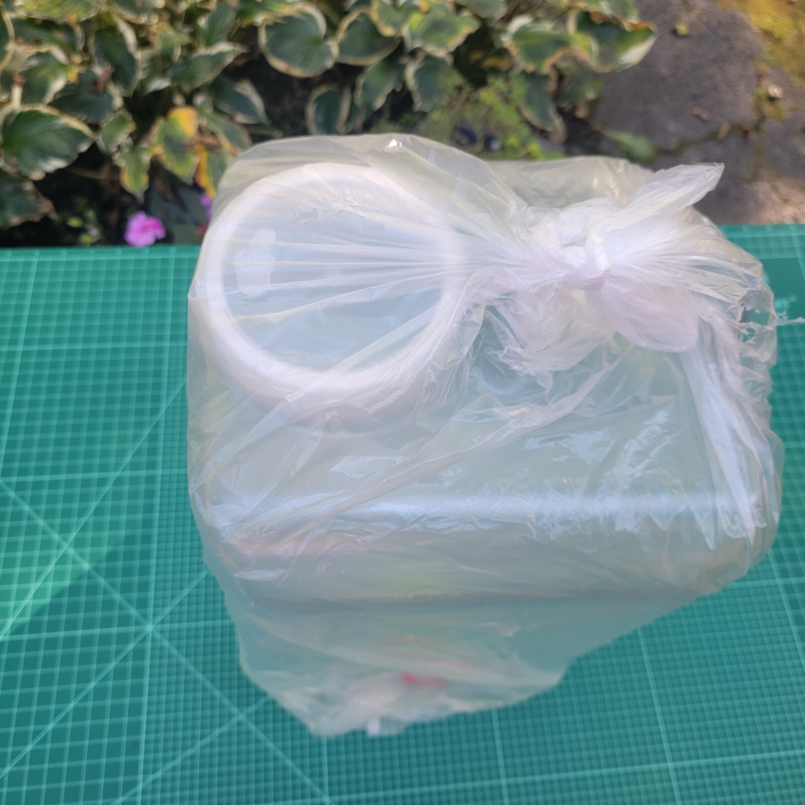 NUEVO Contenedor de agua para almacenamiento dispensador de transporte de camping - 4 galones (15L)- - Image 4