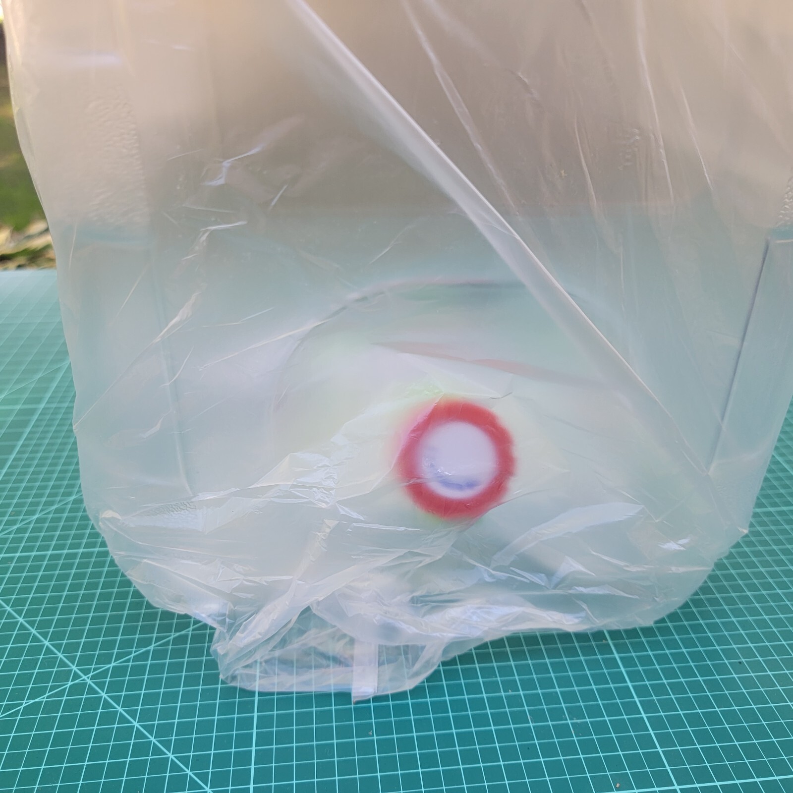 NUEVO Contenedor de agua para almacenamiento dispensador de transporte de camping - 4 galones (15L)- - Image 5