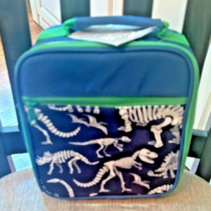 Caja de almuerzo escolar Pottery Barn para niños vacaciones Disney viaje DINOSAURIO DEPORTE regalo nueva-