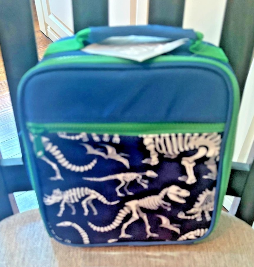 Caja de almuerzo escolar Pottery Barn para niños vacaciones Disney viaje DINOSAURIO DEPORTE regalo nueva-