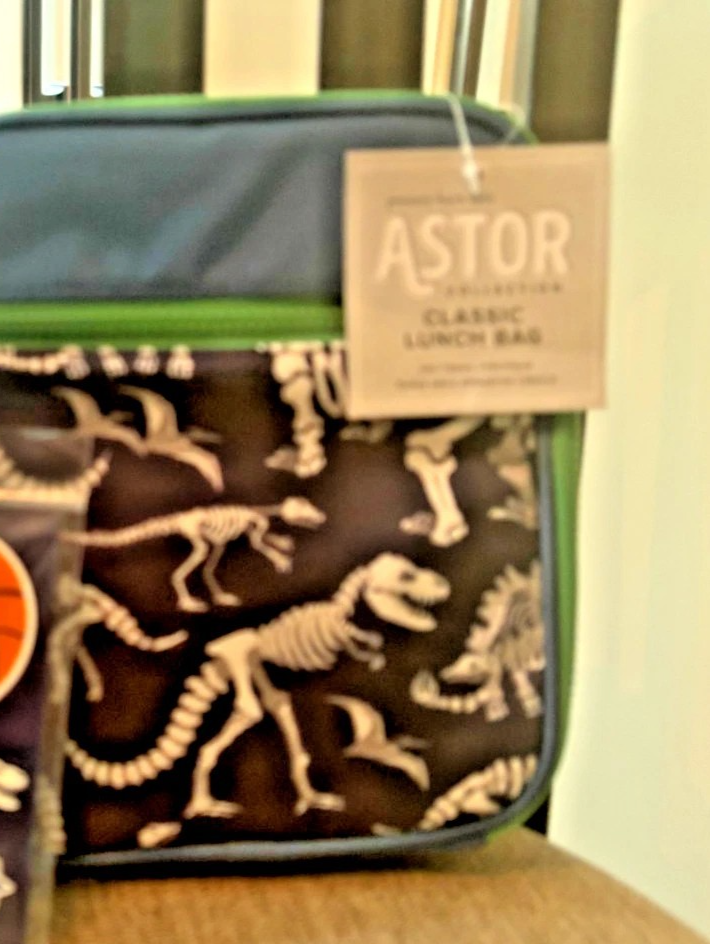Caja de almuerzo escolar Pottery Barn para niños vacaciones Disney viaje DINOSAURIO DEPORTE regalo nueva- - Image 2