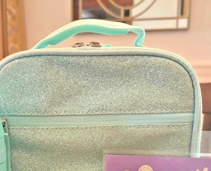 Caja de almuerzo escolar Pottery Barn para niños vacaciones Disney viaje BRILLO CONGELADO regalo nueva- - Image 2