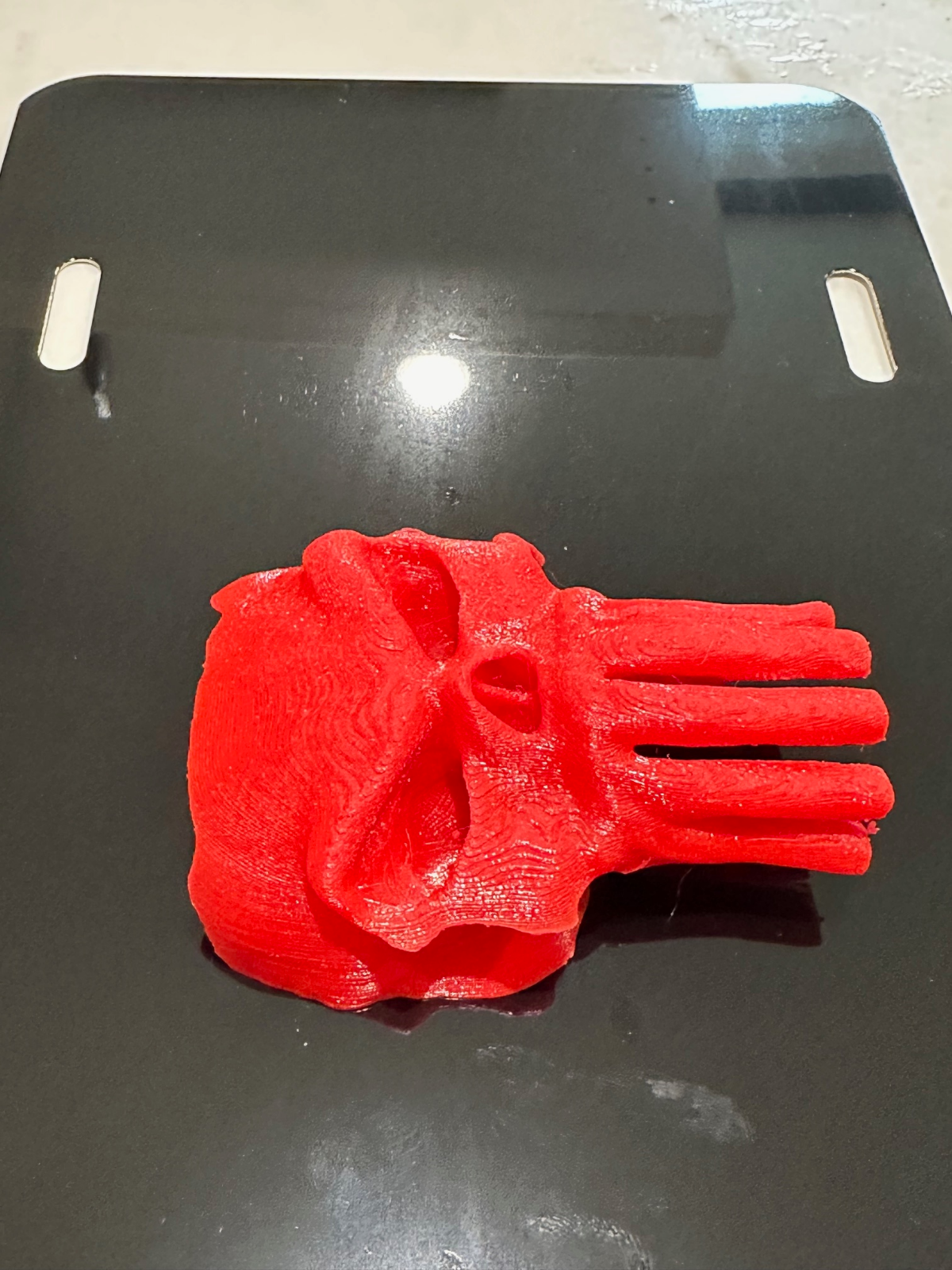 Calavera Realista P en 3D - Negra con Placa Automotriz Roja INSERTAR - Calaveras- - Image 2
