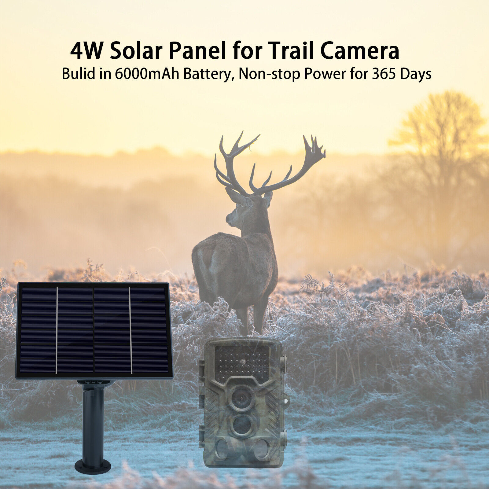 Paneles Solares 4W Salida DC 12V/6V Impermeable Panel Solar con Batería 6000 mAh- - Image 4