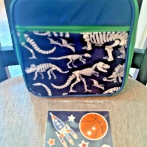 Pottery Barn Niño Lonchera Escolar Vacaciones Disney Viaje DEPORTE DINOSAURIO SET DE REGALO-