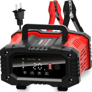 Cargador de Batería de Coche de 20 Amperios, 12V/20A y 24V/10A LiFePO4, Plomo-Ácido (AGM/Gel/SLA...-