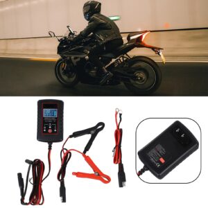 Mantenedor de batería controlado por CPU 12V/6V carga de batería automotriz para automóviles-