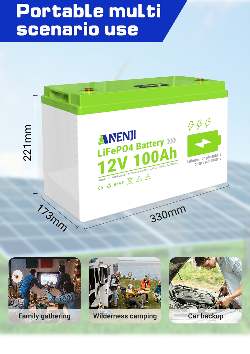 Batería recargable 12V/24V/36V 100Ah LiFePO4 BMS batería solar sistema solar- - Image 2