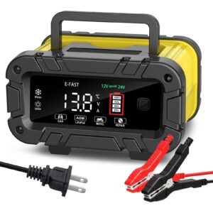 Cargador de Batería E-FAST 20A 12/24V LiFePO4 Plomo Ácido Batería de Coche Completamente Automático...-