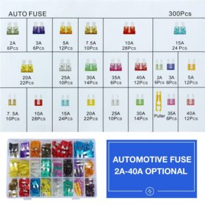 Juego de kit surtido de fusibles automotrices 300 un. coche camión motocicleta fusibles stock en EE. UU.-