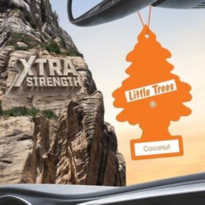 Little Trees - Coco - Ambientador de aire para coche (paquete de 24)-