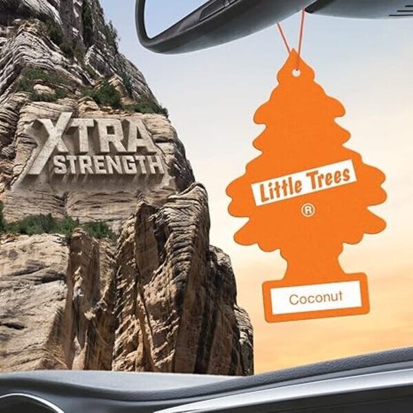 Little Trees - Coco - Ambientador de aire para coche (paquete de 24)-
