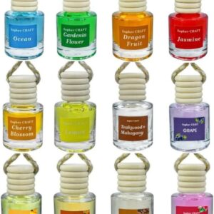 12x Ambientadores Colgantes Coche Multi Olor Aceite Difusor Larga Duración 8ml Botellas-