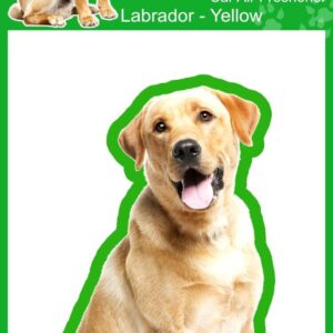 Labrador Yellow Lab - 4 ambientadores de coche Smelly Dogs, envueltos individualmente-