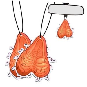 2 PIEZAS Ambientadores Coche Divertidos Regalo Coche para Mujeres Hombres Novedad Ambientador Coche-