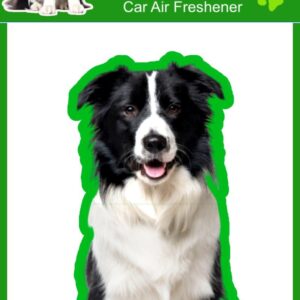 Border Collie Regalo Perro - 4 x Ambientadores Coche Perros Olor-