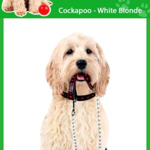 Ambientadores Coche Cockapoo Blanco Rubio 4x Perros Olor, Envasados Individualmente-