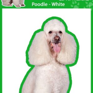 4 ambientadores de coche Poodle White Dog para perros malolientes, envueltos individualmente-