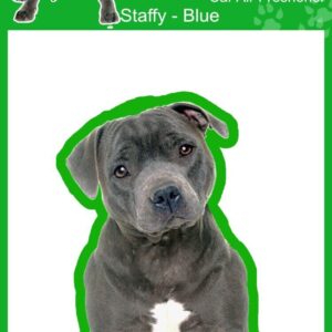 Ambientadores de coche Staffordshire Bull Terrier Blue Dog - 4 x Smelly Dogs-
