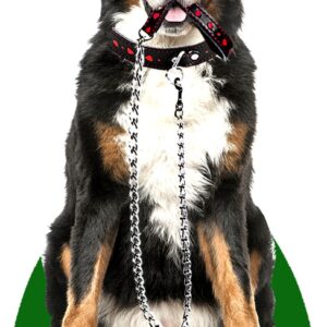 Bernese Mountain Dog Gift - 4 x Ambientadores Coche Perros Olor-