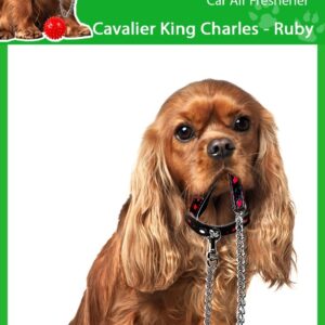 Ambientadores de coche Cavalier King Charles RUBY 4 x Smelly Dogs-