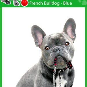 Ambientadores de aire para coche Bulldog Francés azul perro 4 x perros malolientes envueltos individualmente-
