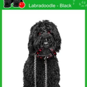 Ambientadores de aire para coche Labradoodle Black Dog 4 x Smelly Dogs, envueltos individualmente-
