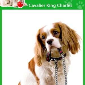 4 ambientadores de coche Cavalier King Charles Smelly Dogs, envueltos individualmente.-
