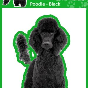 4 ambientadores de coche Poodle Black Dog Smelly Dogs, envueltos individualmente-
