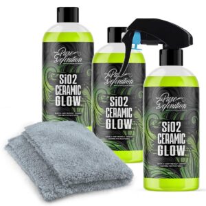 Recubrimiento cerámico para automóvil Si02 protección aerosol sellador vehículo 1,5 L definición pura-